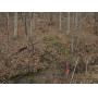 5 Surveyed Acres in Fayette County