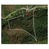 26.59 Surveyed Acres in Boone County Selling to the Highest Bidder