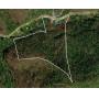 26.59 Surveyed Acres in Boone County Selling to the Highest Bidder