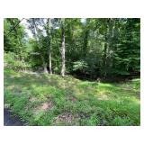 Spacious Wooded Lot in Charlestons South Hills