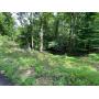 Spacious Wooded Lot in Charlestons South Hills