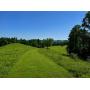 64 Acre Active Farm with 3-Bedroom Home, Barn, Cabin, & Ponds in Elkview