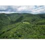 Over 82 Wooded Mountain Acres Along US-50 in Preston County Selling to the Highest Bidder