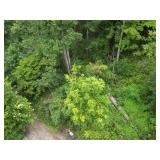 151 Surveyed Acres in Boone County Selling to the Highest Bidder