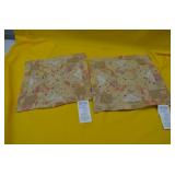 Lot of 2 NEW Accent Pillows Ready for Stuffing