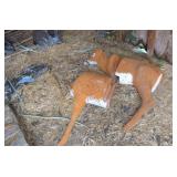 Deer Bow Target