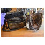 Mossy Oak Cooler & Bag