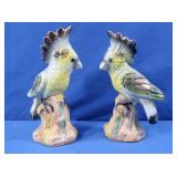 Ceramic Parrot Figures