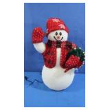 Fiberoptic Snowman in box