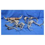 Antlers&Horns