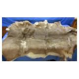 Large Tanned Deer Hide