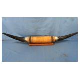Mounted Steer Horns 34"
