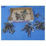 Lge Asst of Skeleton Keys