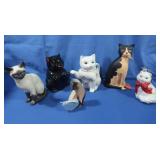 Andre Siamese Cat,New Caught In the Act Cat,Cat