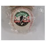 Cal Ripken jr and Lou Gehrig commemorative