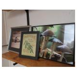 2 Framed Photos 13.5x12&14.25x11.25&1 Framed
