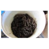 Heavy Duty Chain&more