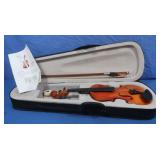 Beginner Acoustic Violin Set w/Bow in Case