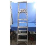 Werner Aluminum Ladder, 6