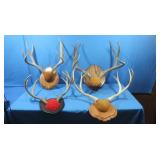 4 Sets Mounted Antlers