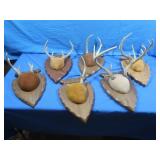 5 Sets Mounted Antlers