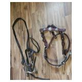 Assortment of Horse Tacks