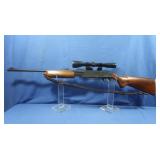 Remington Model 760 30.06 w/Bushnell 3x9 Scope