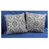 2 Decorative Pillows