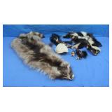 Raccoon&Skunk Pelts, Turtle Shell