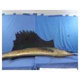 Very Large Sail Fish Replica Wall Mount 104"L
