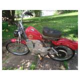 1004 Roadmaster Harley Davidson Sportster