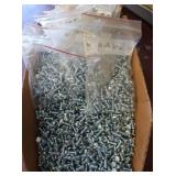 Pan Head Slotted Machine Screws 1/2