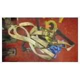 Assortment of Ratchet Straps