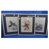 3 Framed Photos Featuring