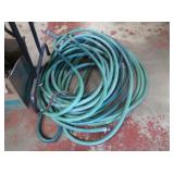 Garden Hose w/Metal Stake Hose Holder