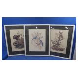 3 Framed Photo Featuring
