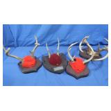 Misc Deer Antlers