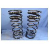 Set of 2 Coil Springs-McQuay-Norris
