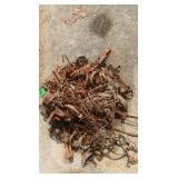 Over 15 Animal Traps,small(fox,coyote,Racoon,etc)