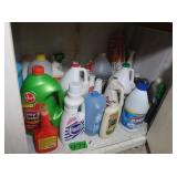 Household/cleaning Chemicals
