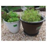 3 Flower Pots-18"Rdx14"H
