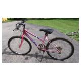 24" Pacific Platinum Bike