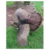 Turkey Mount-Full Display