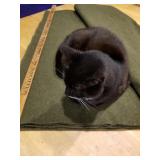 Wool blanket- Military w/cat embellishment @36x80