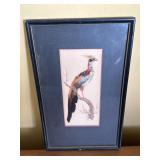 Feathered bird watercolor art approx 13"x8"