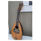 Mandolin with mother of pearl inlays