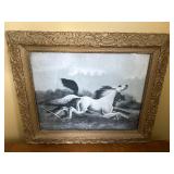 Framed 1900 print Wild Horses