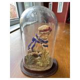 Victorian display dome (1/2 dome) - needs a dab