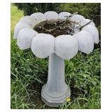 Heavy concrete bird bath 22 "26"