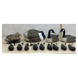 13 Decoys/ Duck & Geese